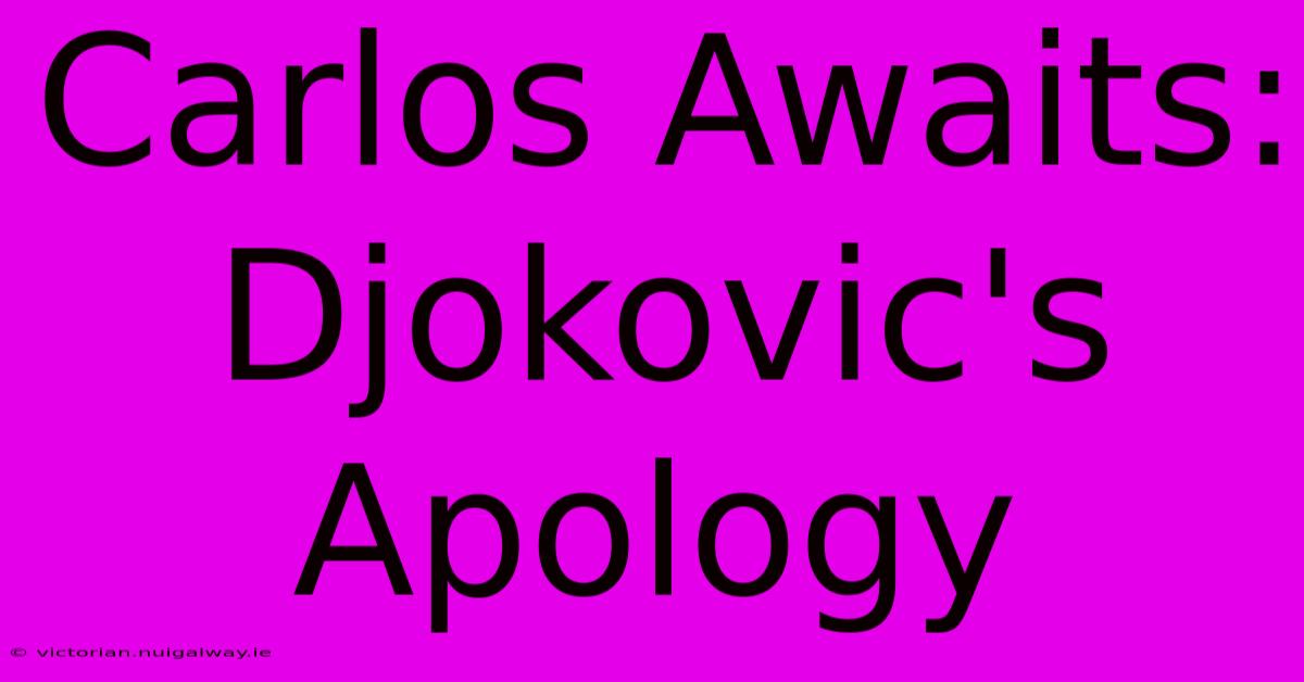 Carlos Awaits: Djokovic's Apology