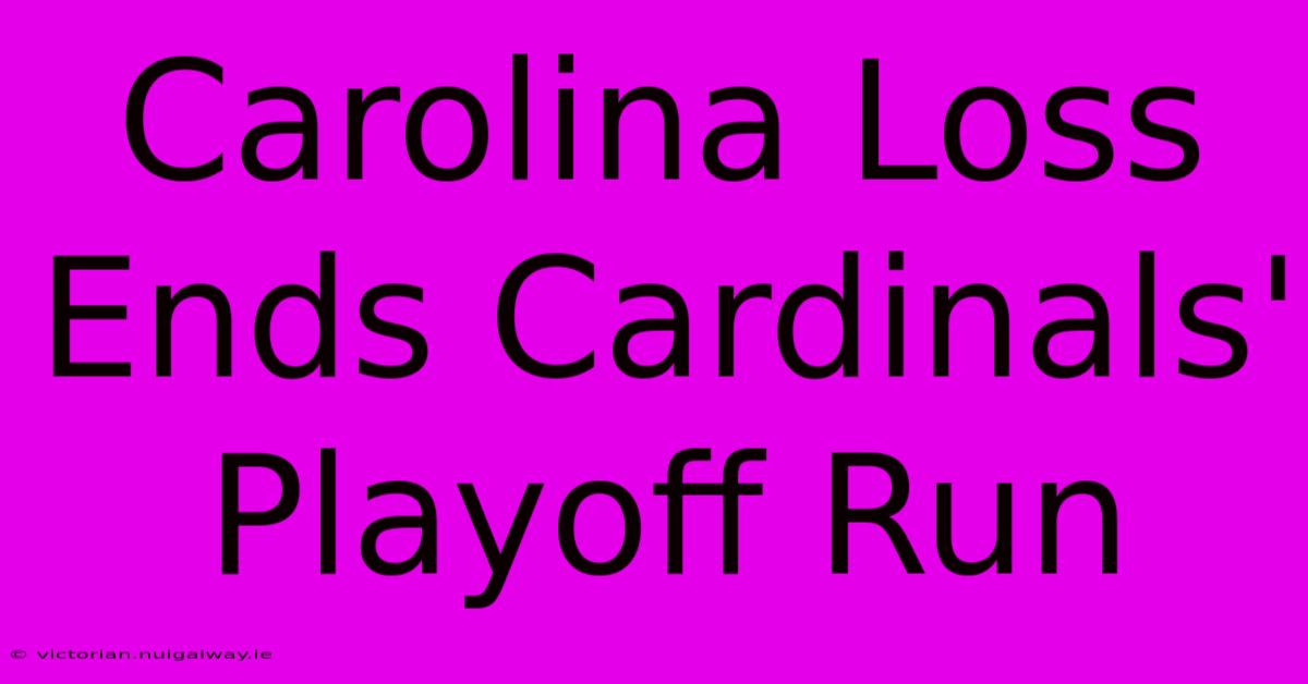 Carolina Loss Ends Cardinals' Playoff Run