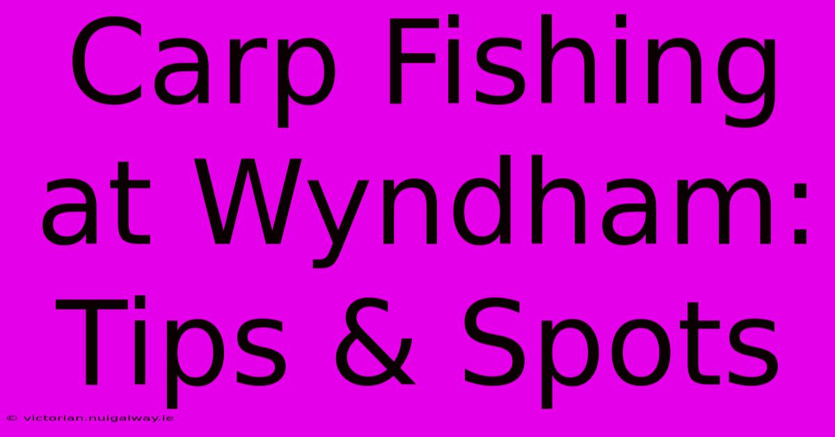 Carp Fishing At Wyndham: Tips & Spots