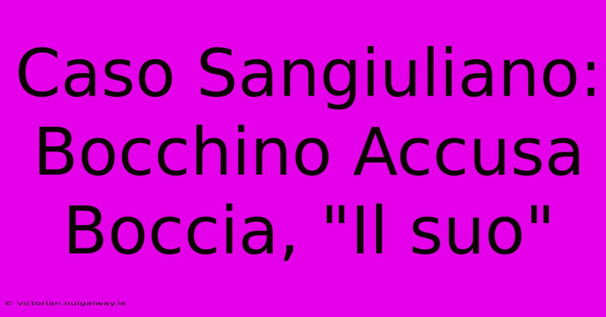 Caso Sangiuliano: Bocchino Accusa Boccia, 