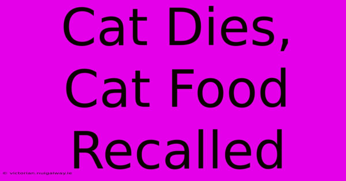 Cat Dies, Cat Food Recalled