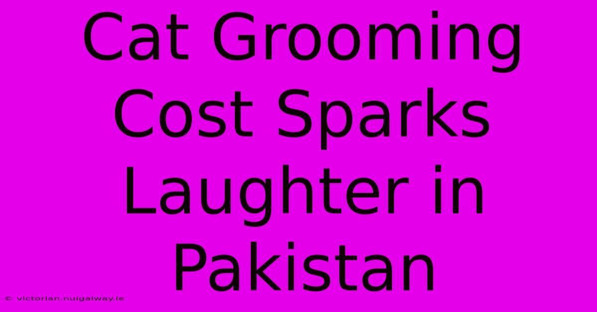 Cat Grooming Cost Sparks Laughter In Pakistan