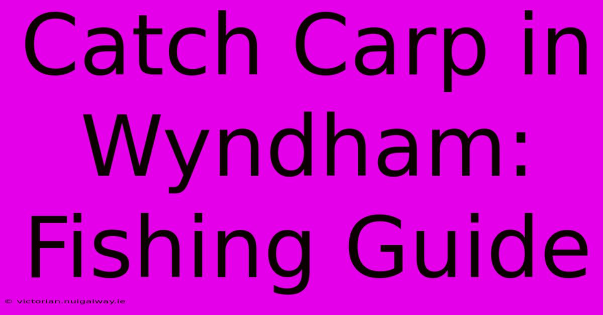 Catch Carp In Wyndham: Fishing Guide