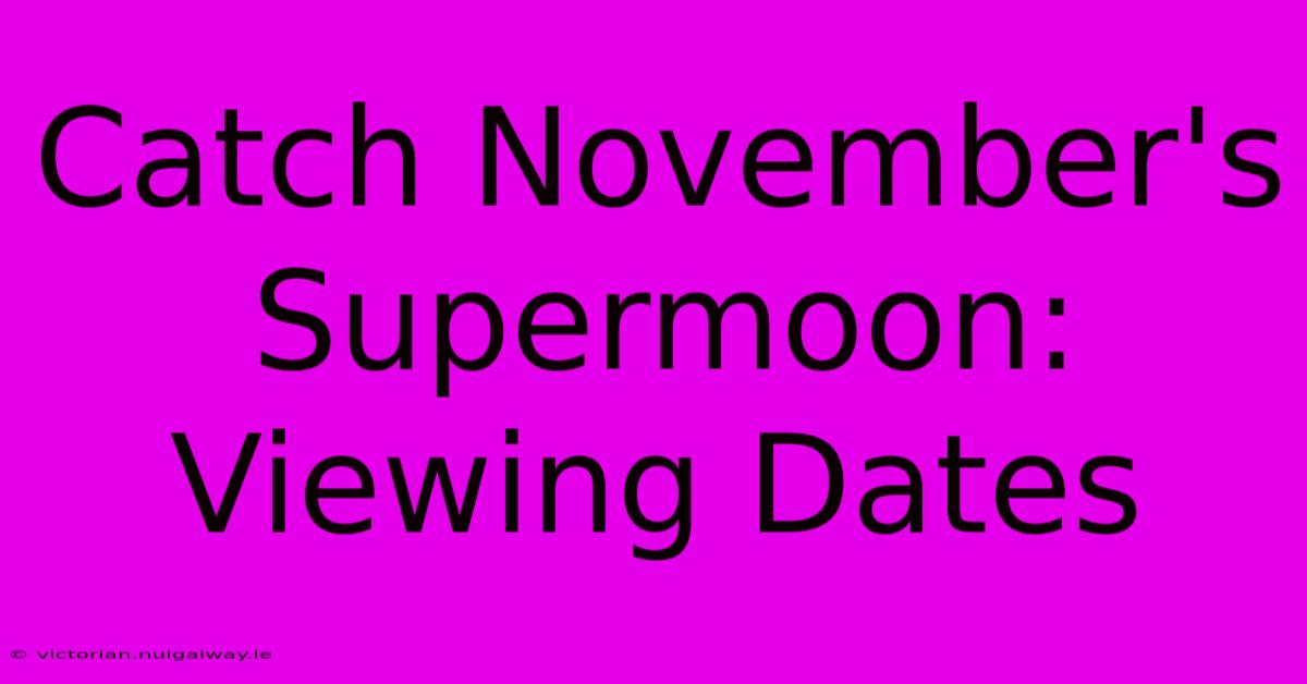 Catch November's Supermoon: Viewing Dates