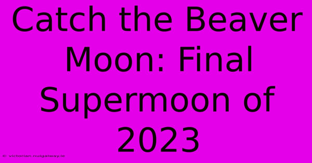 Catch The Beaver Moon: Final Supermoon Of 2023