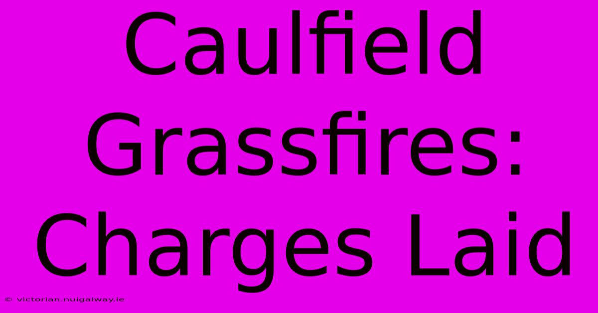 Caulfield Grassfires: Charges Laid