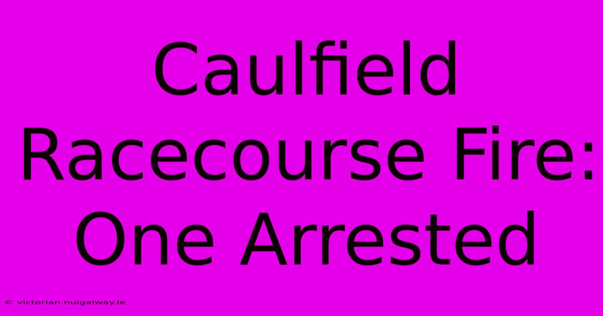 Caulfield Racecourse Fire: One Arrested