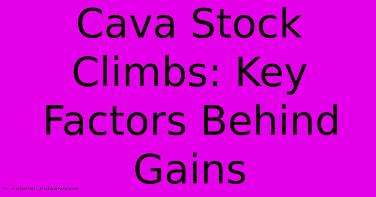 Cava Stock Climbs: Key Factors Behind Gains