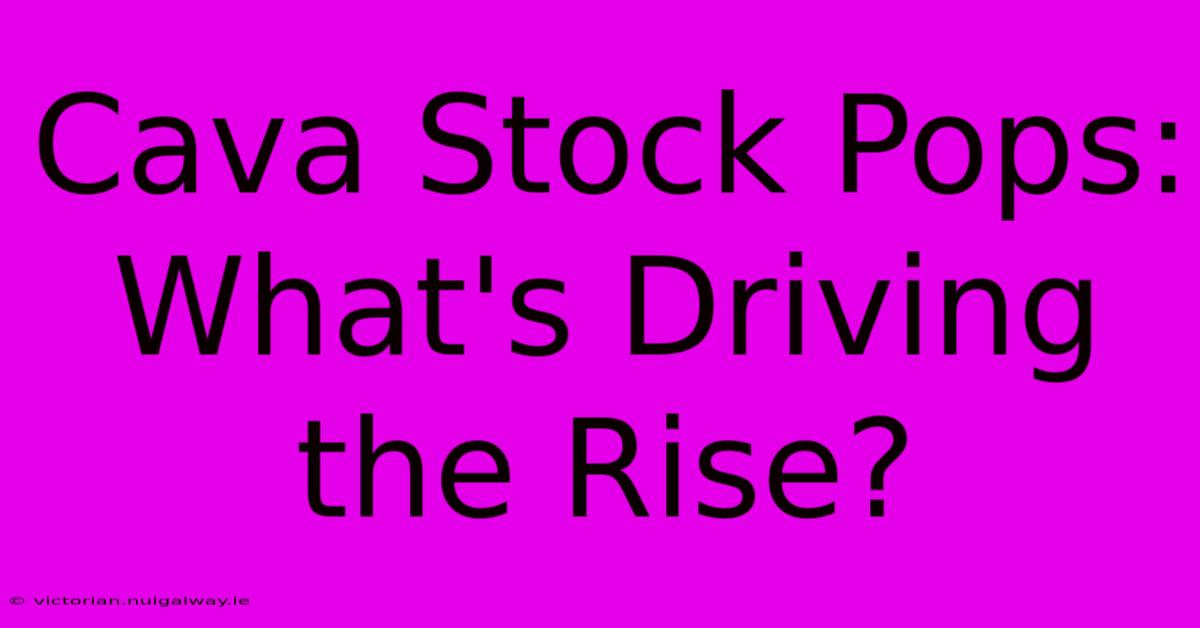 Cava Stock Pops: What's Driving The Rise?