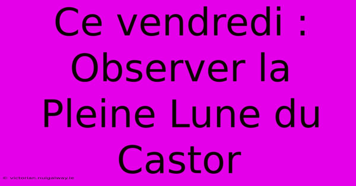 Ce Vendredi : Observer La Pleine Lune Du Castor