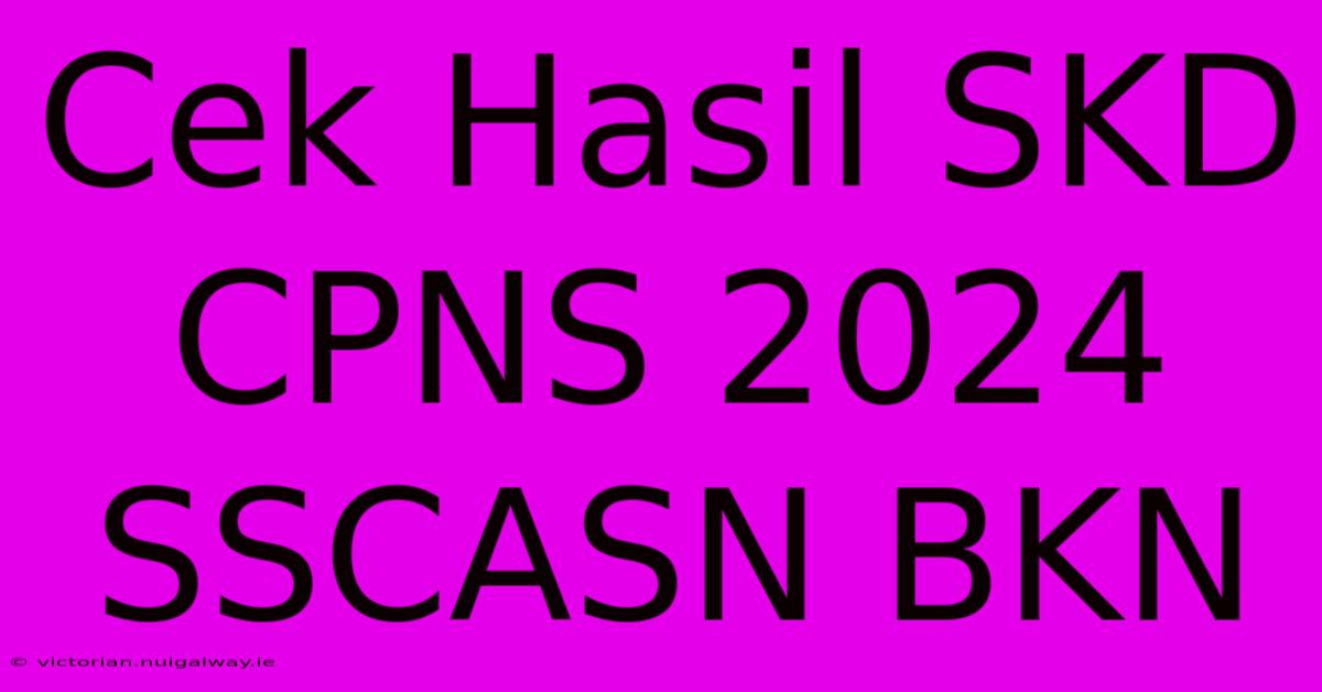 Cek Hasil SKD CPNS 2024 SSCASN BKN