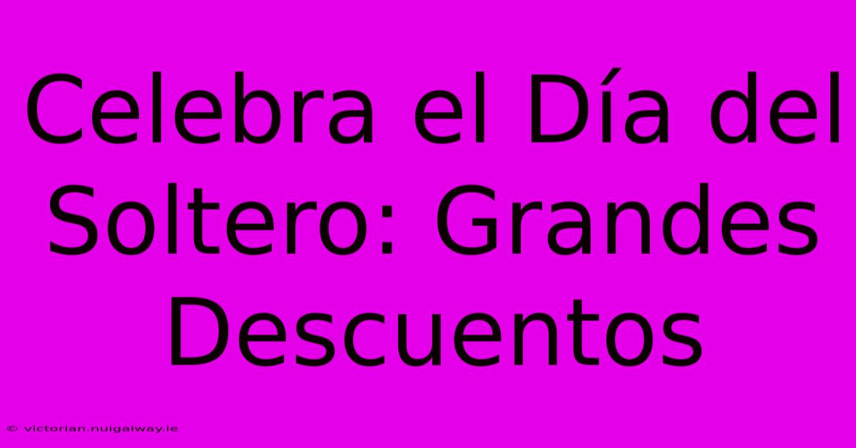 Celebra El Día Del Soltero: Grandes Descuentos