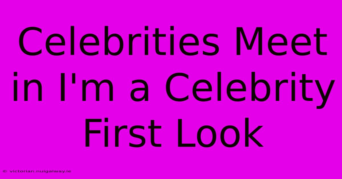 Celebrities Meet In I'm A Celebrity First Look