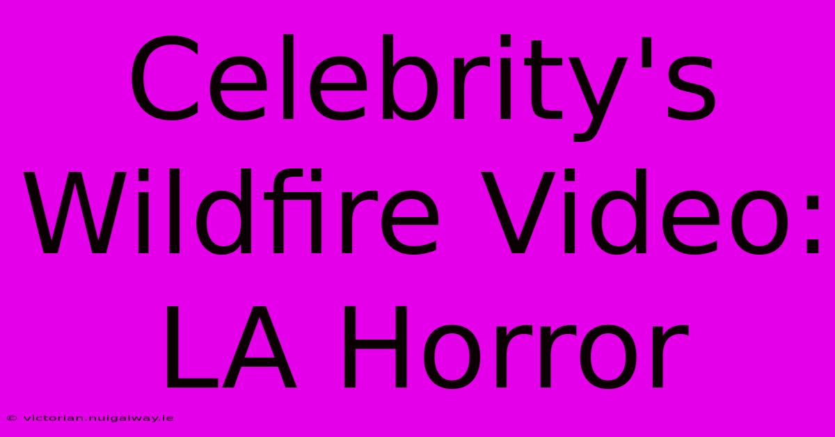 Celebrity's Wildfire Video: LA Horror