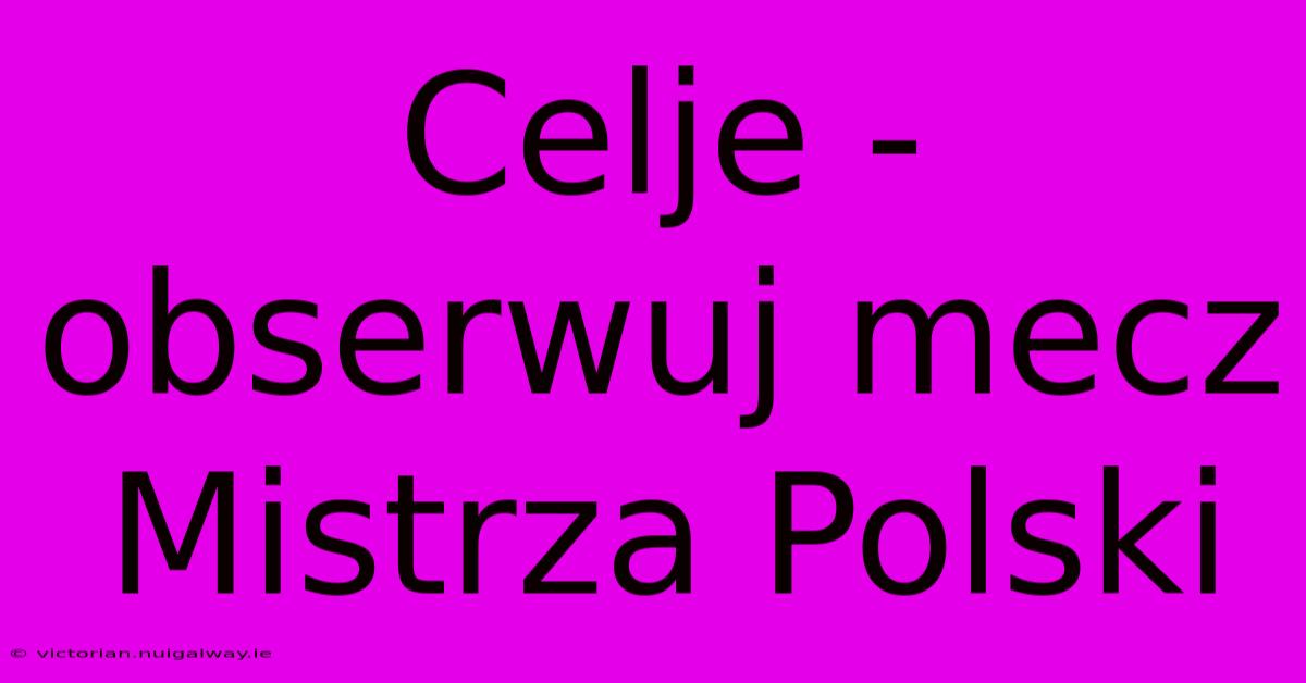 Celje - Obserwuj Mecz Mistrza Polski