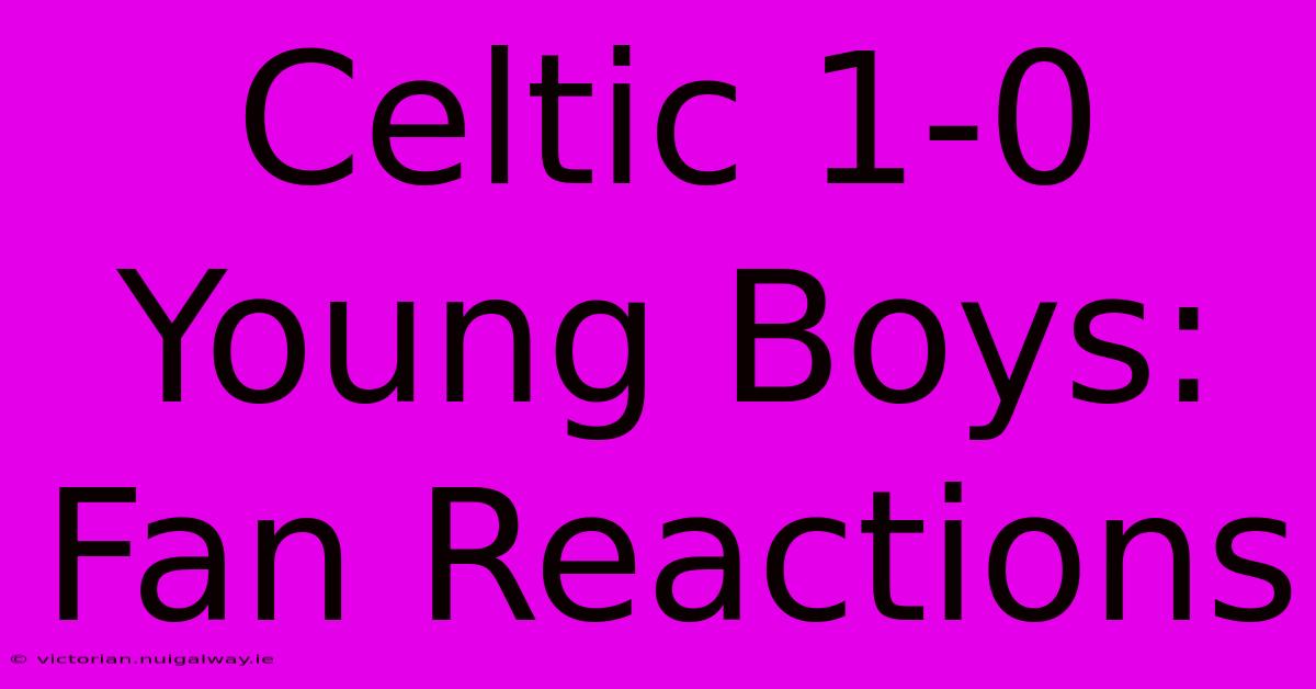 Celtic 1-0 Young Boys: Fan Reactions