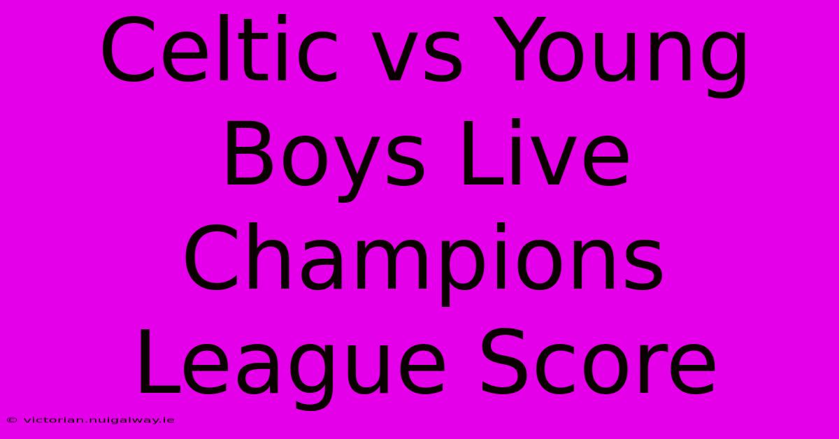 Celtic Vs Young Boys Live Champions League Score