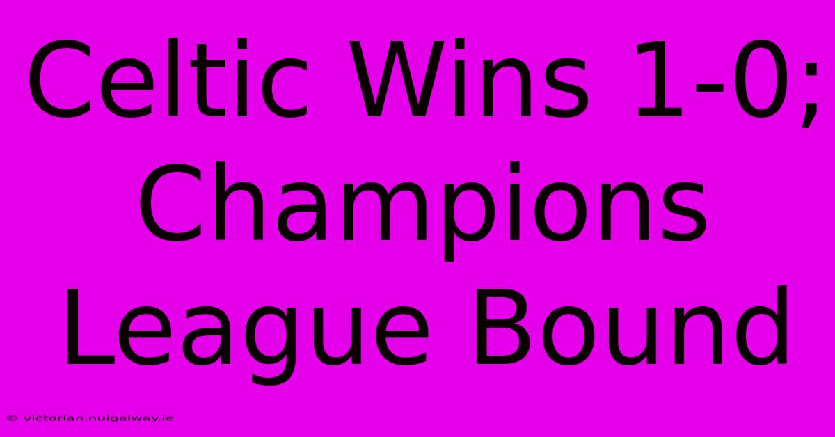 Celtic Wins 1-0; Champions League Bound