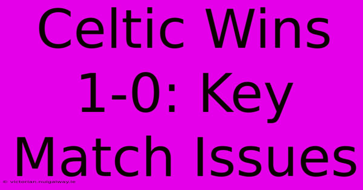 Celtic Wins 1-0: Key Match Issues