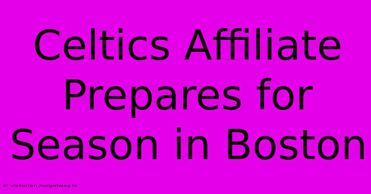 Celtics Affiliate Prepares For Season In Boston