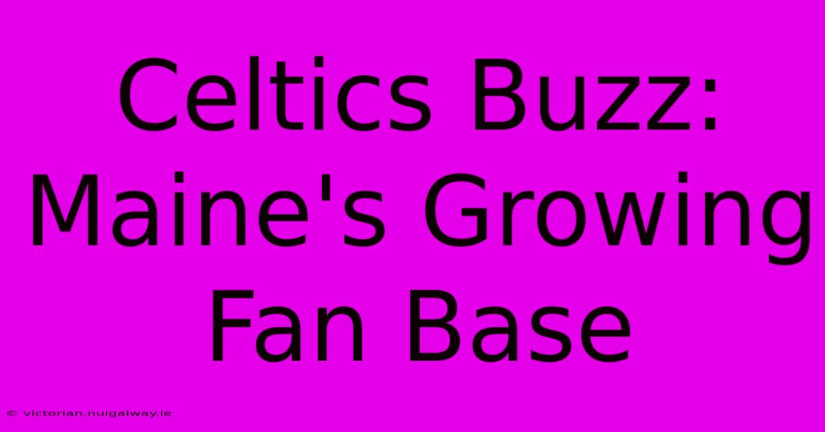 Celtics Buzz: Maine's Growing Fan Base 