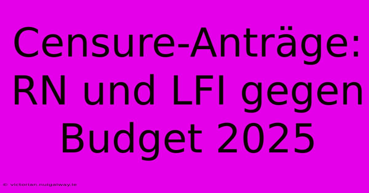 Censure-Anträge: RN Und LFI Gegen Budget 2025