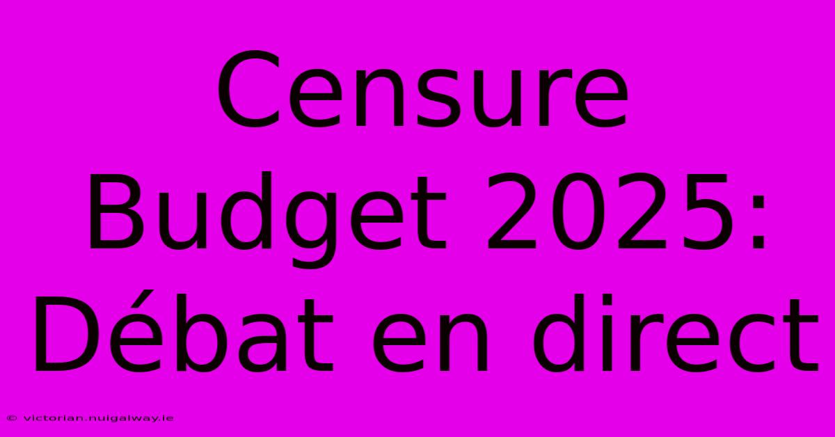 Censure Budget 2025:  Débat En Direct