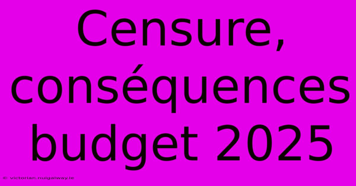 Censure, Conséquences Budget 2025