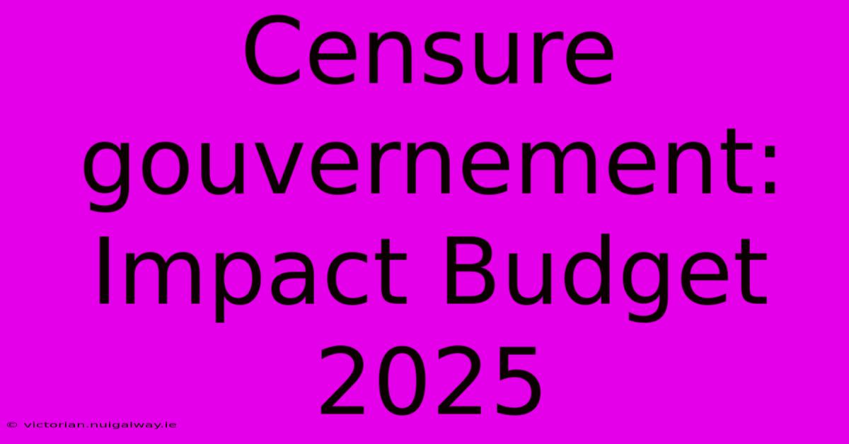 Censure Gouvernement: Impact Budget 2025