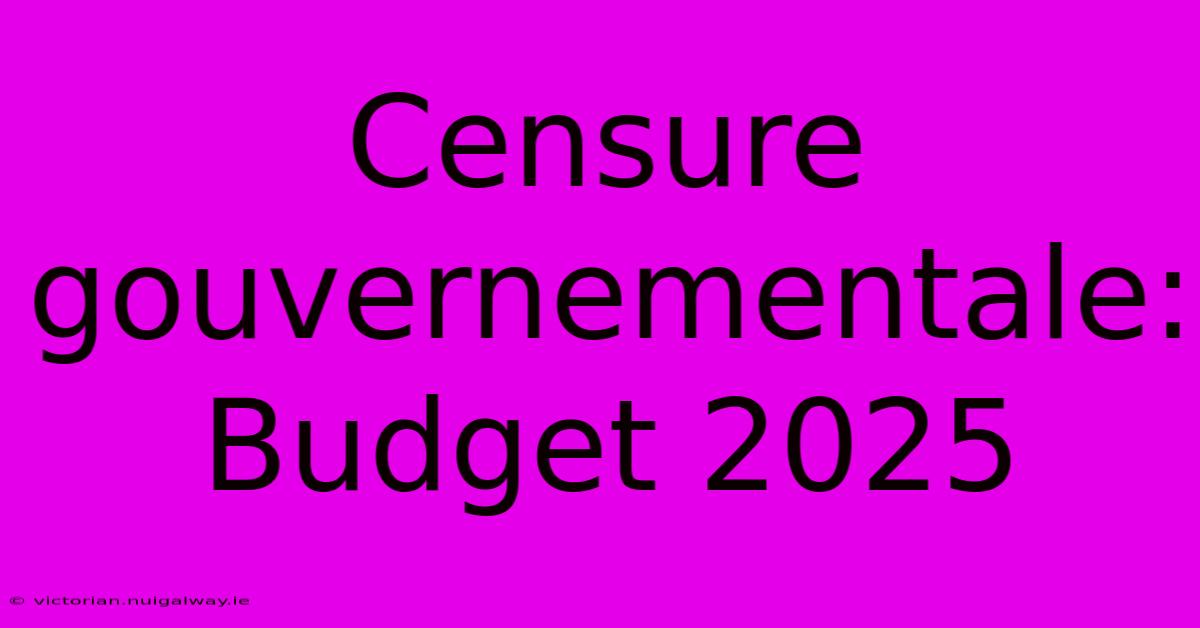 Censure Gouvernementale: Budget 2025