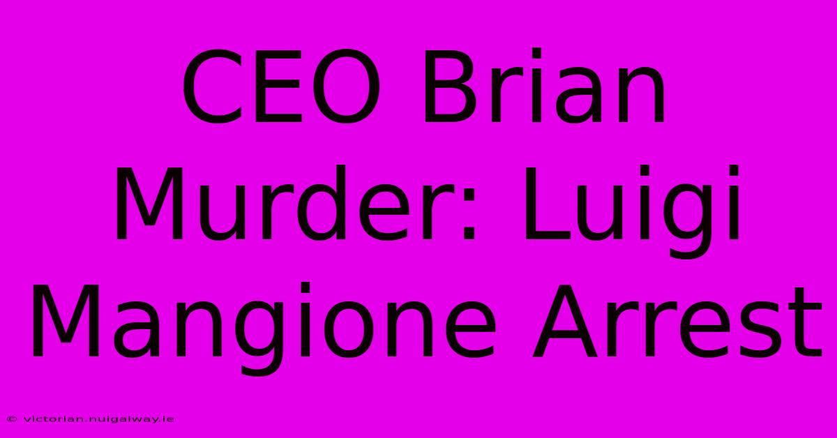 CEO Brian Murder: Luigi Mangione Arrest