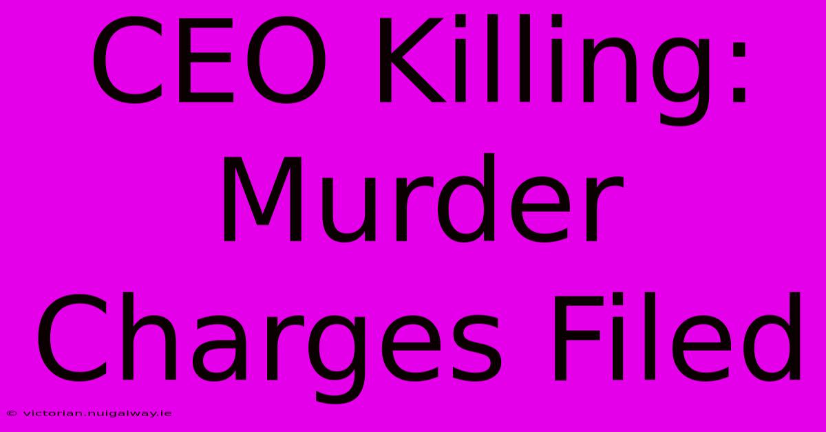 CEO Killing:  Murder Charges Filed