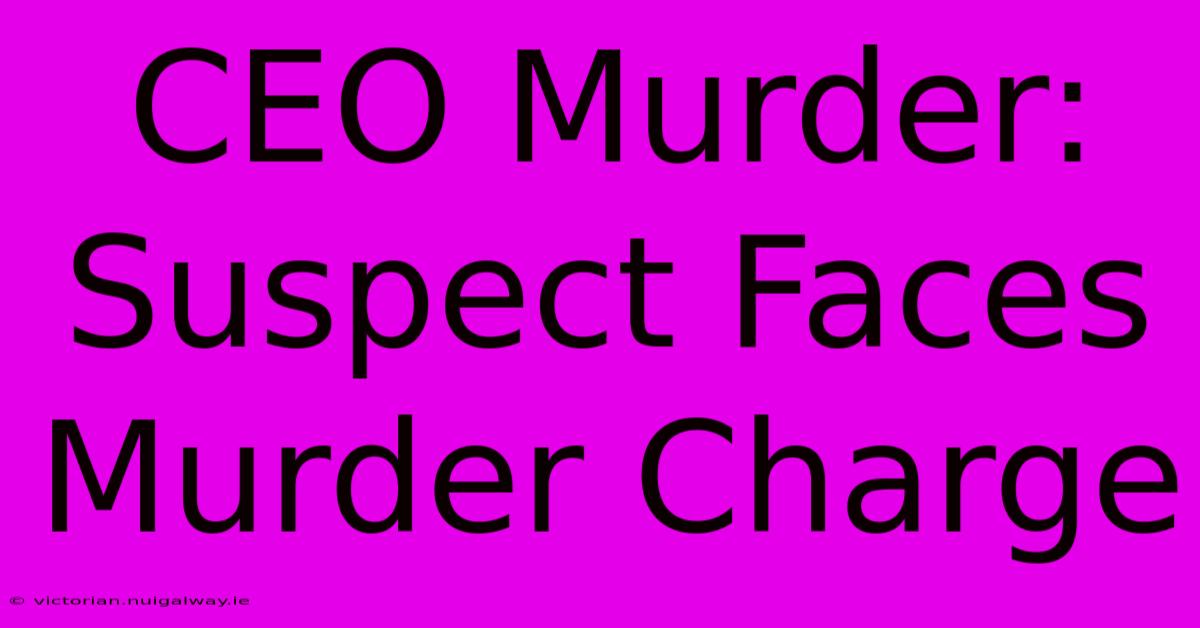 CEO Murder: Suspect Faces Murder Charge