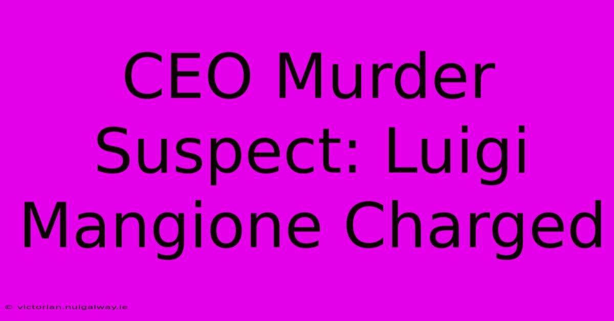 CEO Murder Suspect: Luigi Mangione Charged