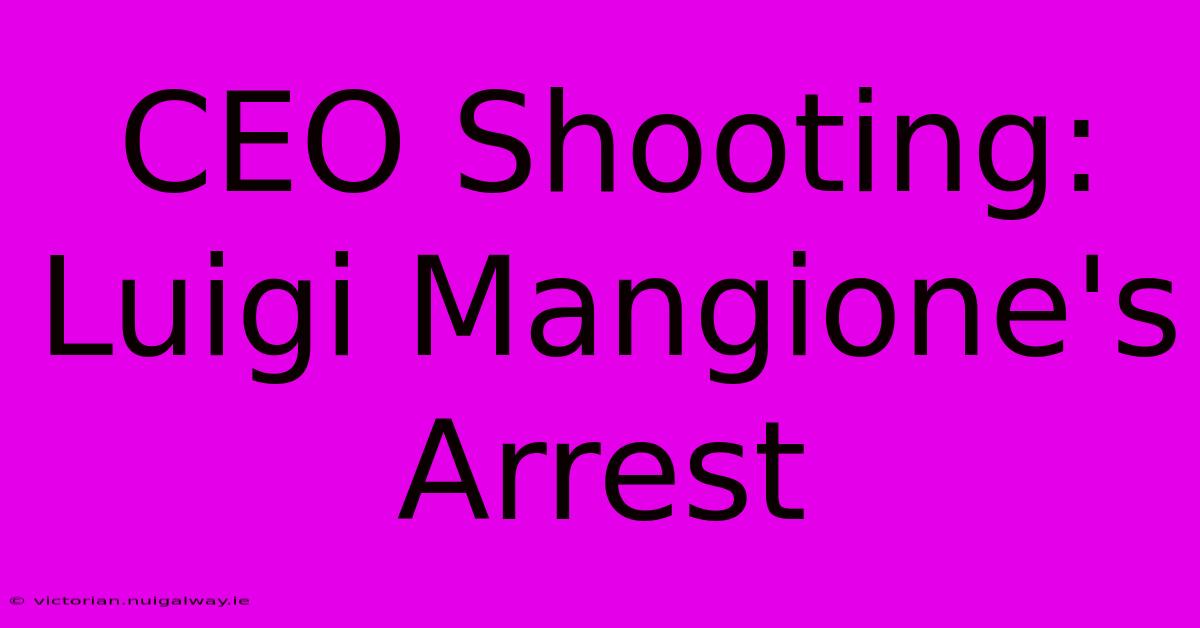 CEO Shooting: Luigi Mangione's Arrest