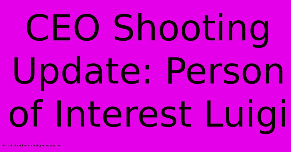 CEO Shooting Update: Person Of Interest Luigi