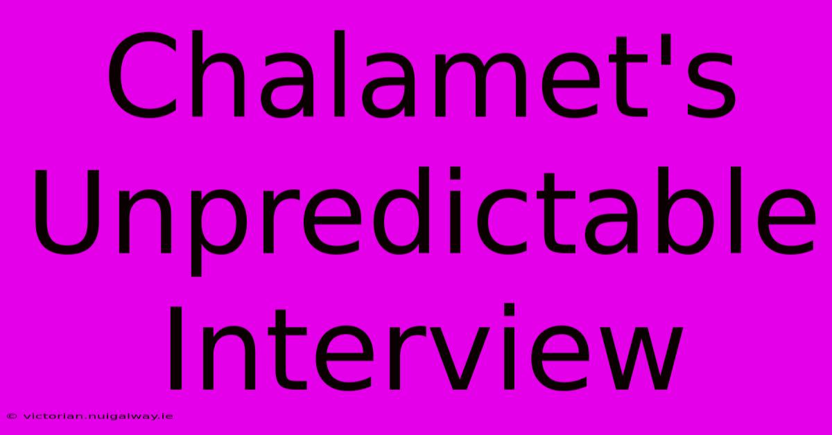 Chalamet's Unpredictable Interview