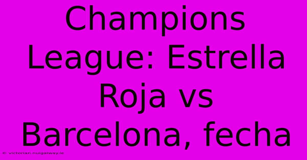 Champions League: Estrella Roja Vs Barcelona, Fecha 