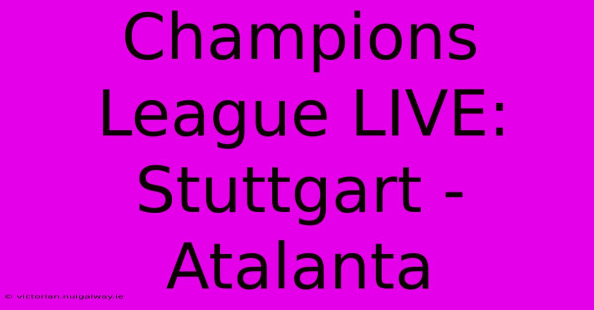 Champions League LIVE: Stuttgart - Atalanta