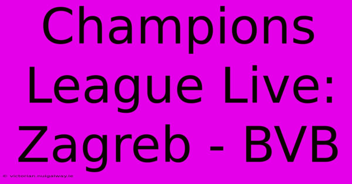 Champions League Live: Zagreb - BVB