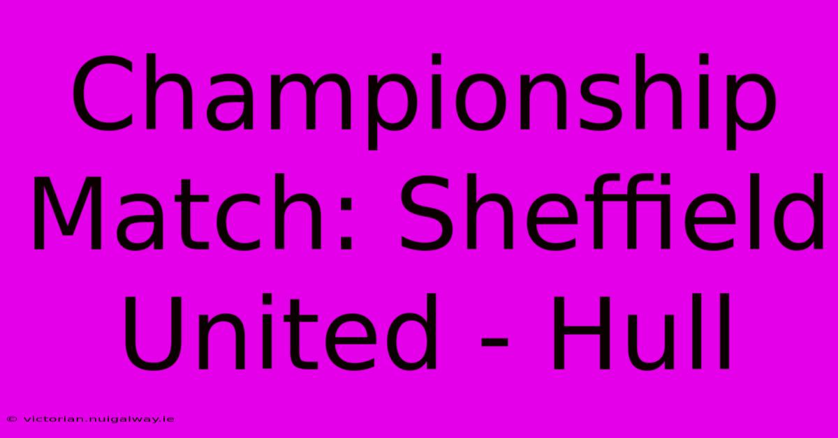 Championship Match: Sheffield United - Hull