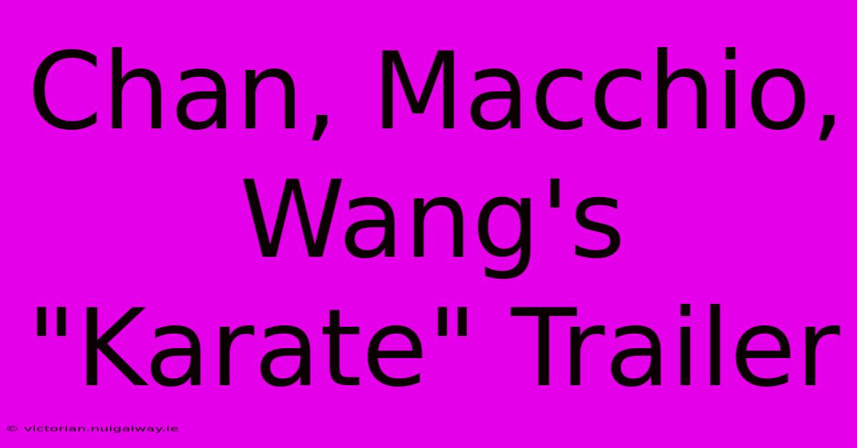 Chan, Macchio, Wang's 