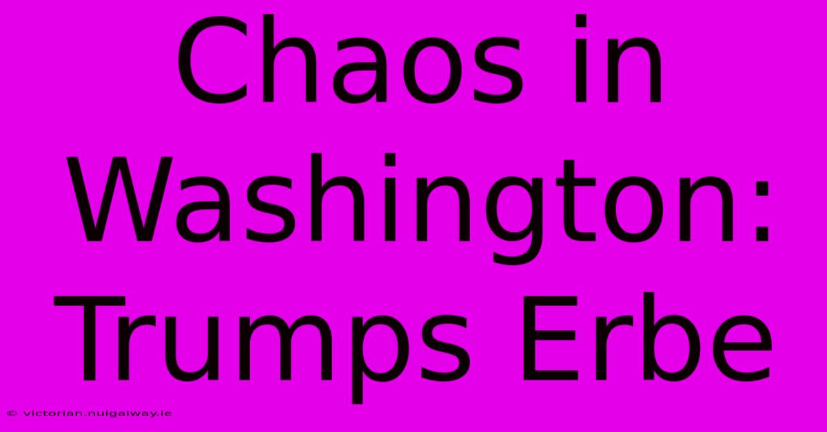 Chaos In Washington: Trumps Erbe 