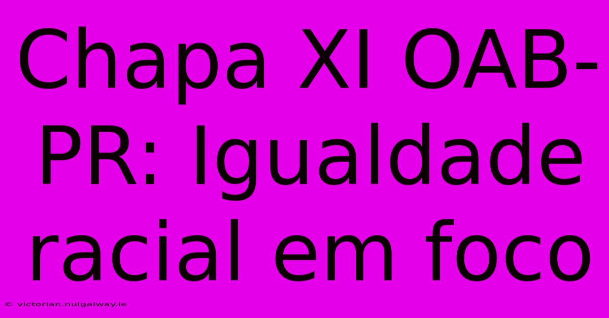 Chapa XI OAB-PR: Igualdade Racial Em Foco