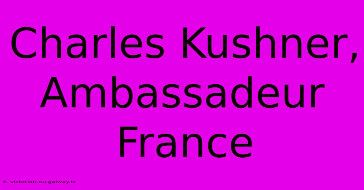 Charles Kushner, Ambassadeur France