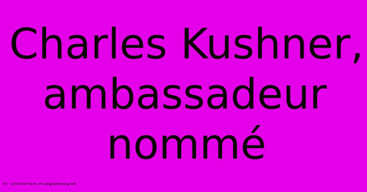 Charles Kushner, Ambassadeur Nommé