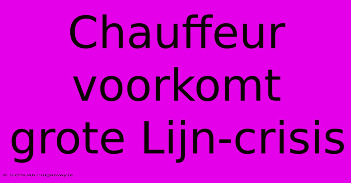 Chauffeur Voorkomt Grote Lijn-crisis