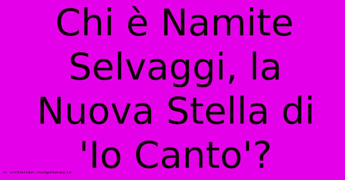 Chi È Namite Selvaggi, La Nuova Stella Di 'Io Canto'?