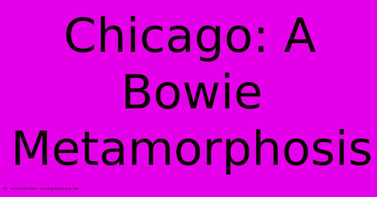 Chicago: A Bowie Metamorphosis