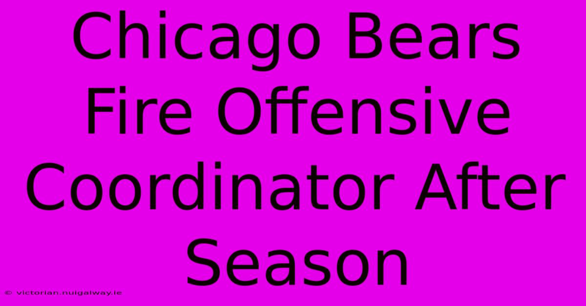 Chicago Bears Fire Offensive Coordinator After Season 